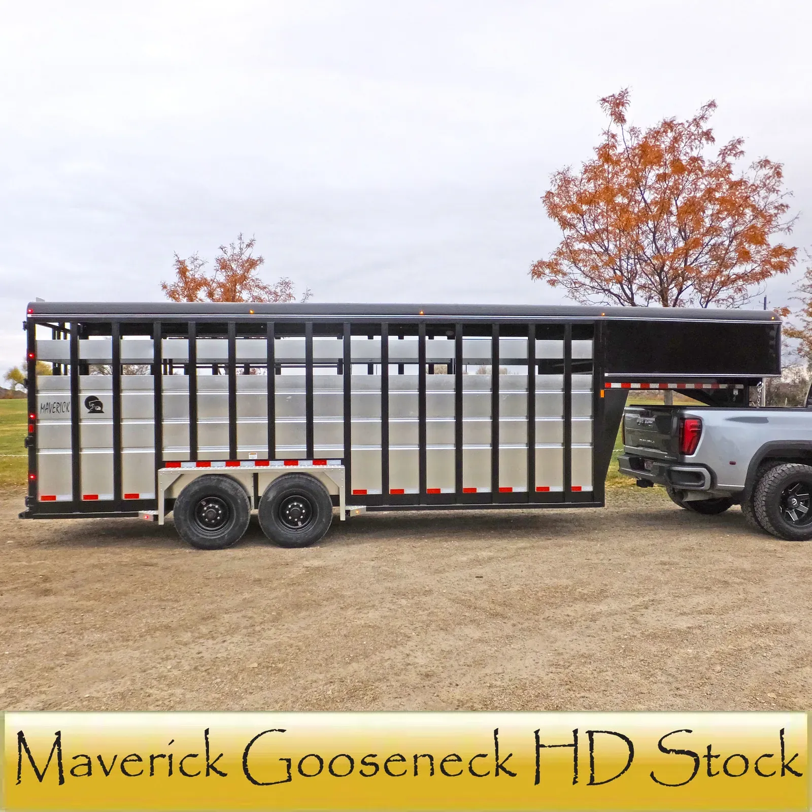 Maverick HD Gooseneck Stock Trailers